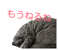 826075734