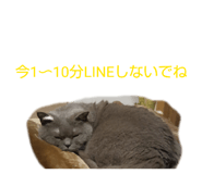 826075735