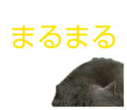 826075742