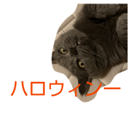 826075743
