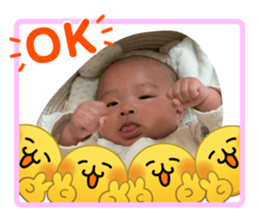 826075994