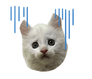 826076354
