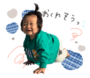 826077776