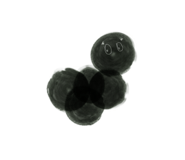 826078676