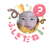 826080997