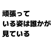 826088250