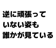 826088251