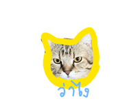 826091204