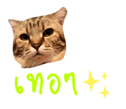 826091208