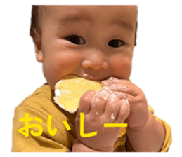 826127333