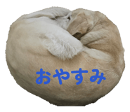 826127650