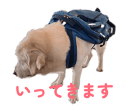 826127651