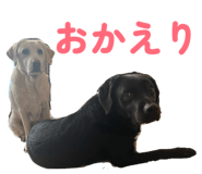 826127654