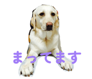 826127658