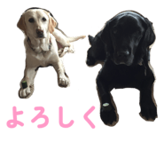 826127667