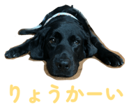 826127669