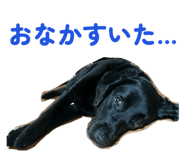 826127671