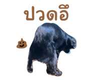 826127715