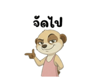 826128004