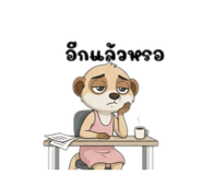 826128031