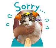 826131216