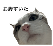 826137333