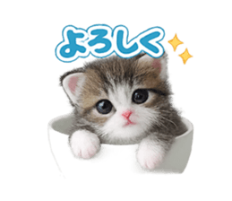 826138319