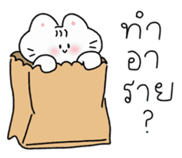 ลายที่ 13