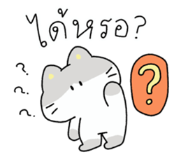 ลายที่ 15