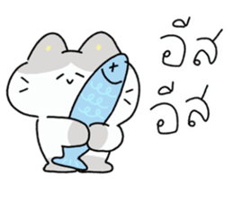 ลายที่ 31