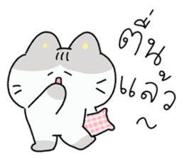 ลายที่ 39