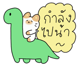 ลายที่ 41