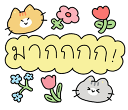 ลายที่ 47