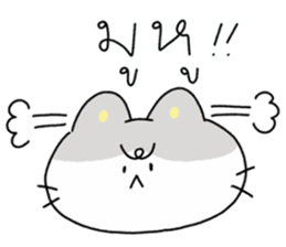 ลายที่ 49