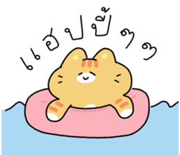 ลายที่ 65