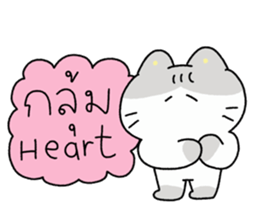 ลายที่ 79