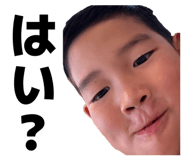 826142301