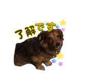826142725