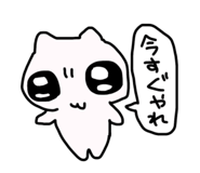 826144500