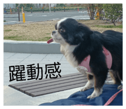 826147360