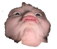 826147438