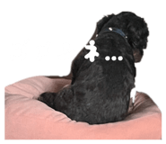 826190667