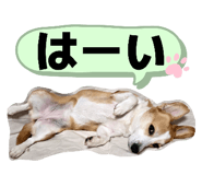 826215167