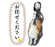 826215188