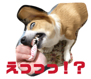 826215191