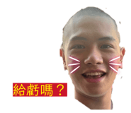 826252956
