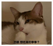 826253718