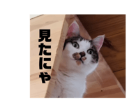 826254192
