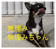 826259127