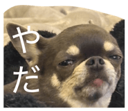 826259143